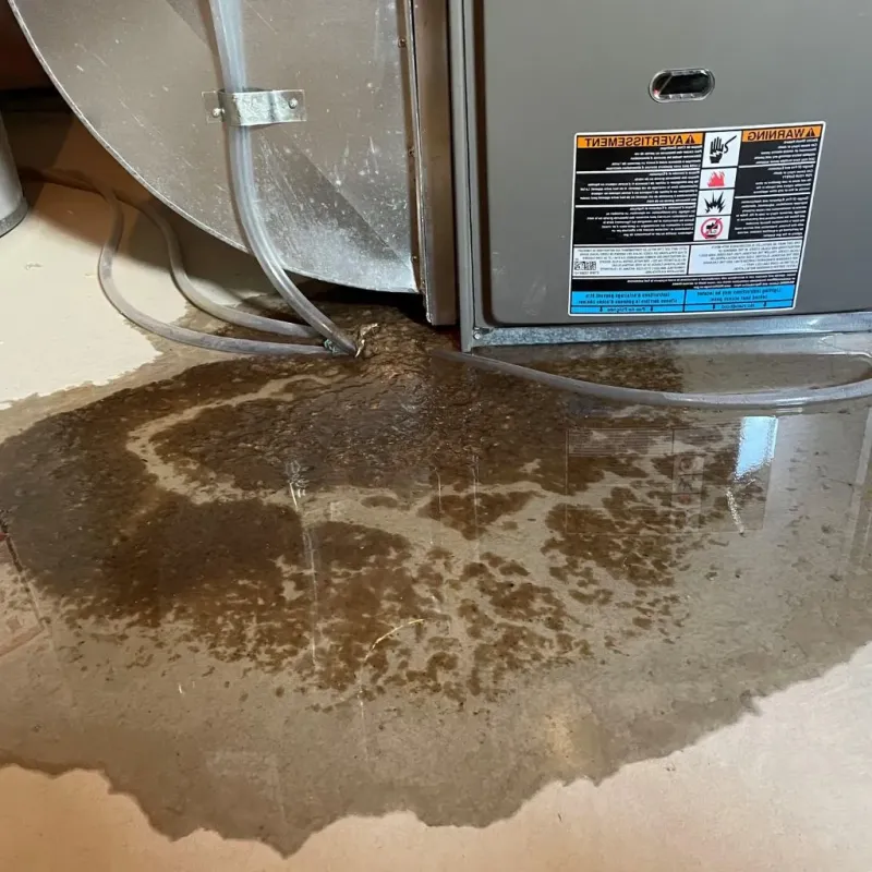 Pipe Burst and Leak Restoration in Beaufort County, SC