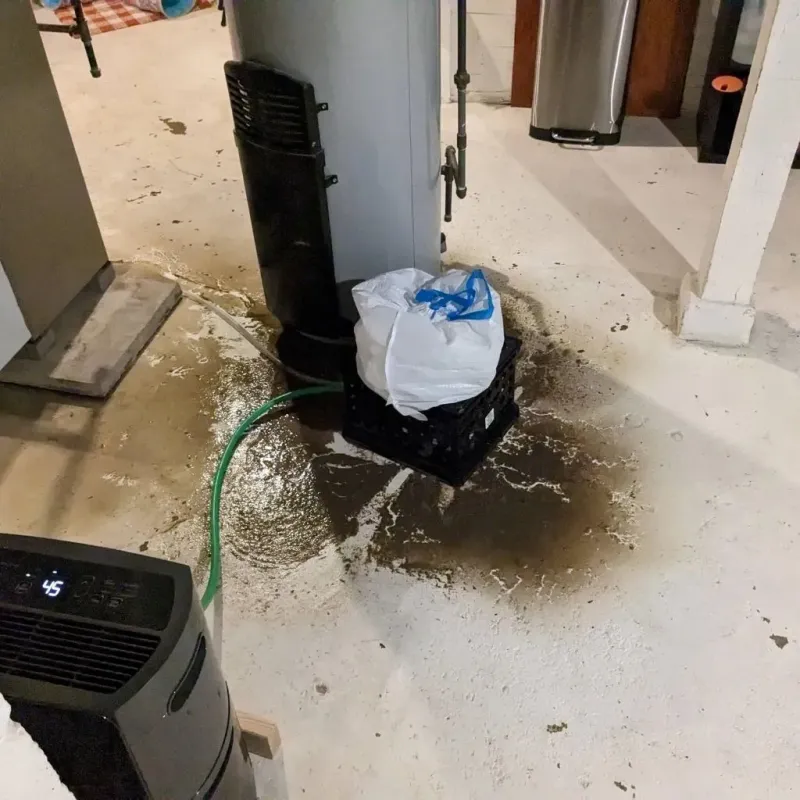 Sewage Backup Cleanup Service in Beaufort County, SC
